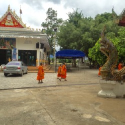 Temple in San Phak Wan