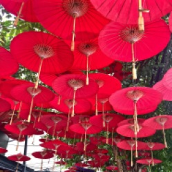 Red umbrellas - Chiang Mai