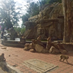 The Monkey fountain - Prachuap Khiri Khan