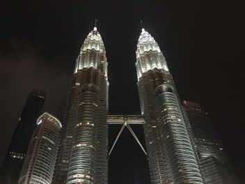 Twin Towers by night